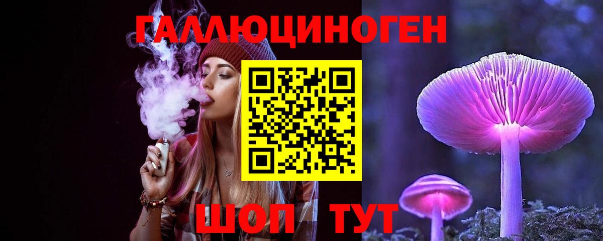 Азнакаево  Псилоцибиновые грибы Psilocybine cubensis  Вход с VPN 