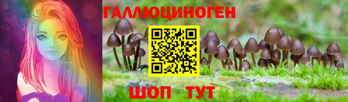 Псилоцибиновые грибы MAGIC MUSHROOMS Азнакаево